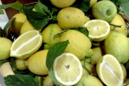   Limoni   naturali var. Interdonato siciliani